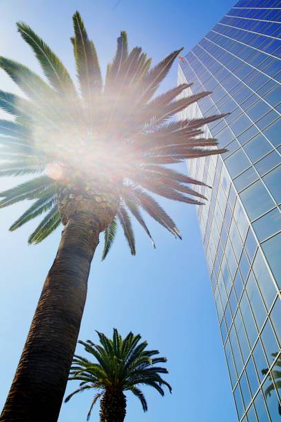 istock Californian city life 1421089067