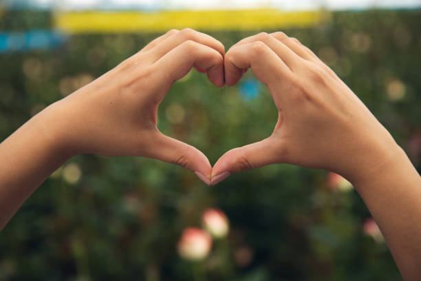 istock hand heart sign in greenhouse 1421090638