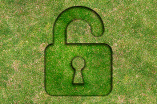 Lock shape made from grass