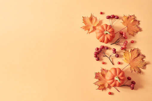 Top view of autumnal colorful gourds and fallen leaves on white wooden backgrounds