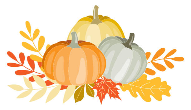 따뜻한 가을 색상의 다양한 호박과 나뭇잎의 클립 아트 일러스트 구성 - maple leaf leaf autumn single object stock illustrations