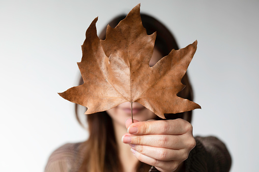 Woman hiding behind a large dry leaf.