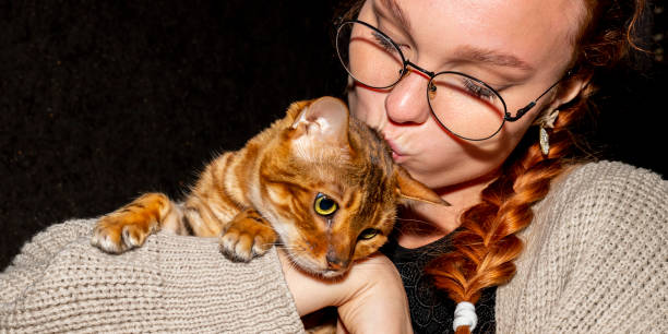 istock Young Woman and Purebred Bengal Cat 1421104405