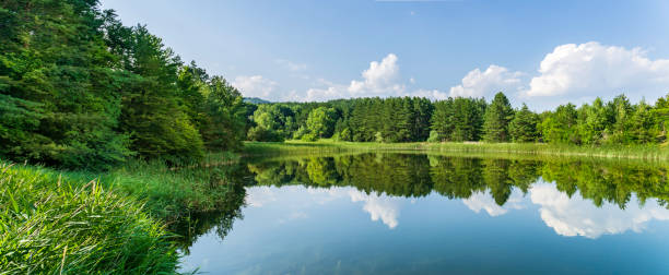 istock Lake panorama with blue sky, green trees 1421106628