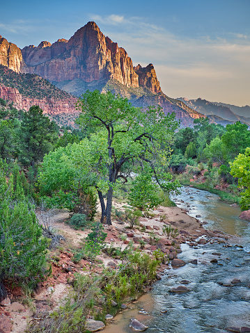 Scenic view of the Watchman in Zion National Park from Canyon Junction bridge at sunset. Utah, USA