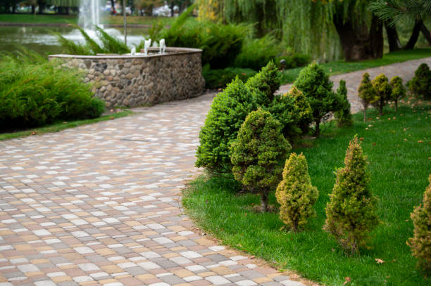 istock evergreens shrubs and arborvitae in landscape 1421112018