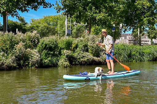 Utrecht, Netherlands - August 2022: Person on a paddleboard with a pet dog on one of the city's canals