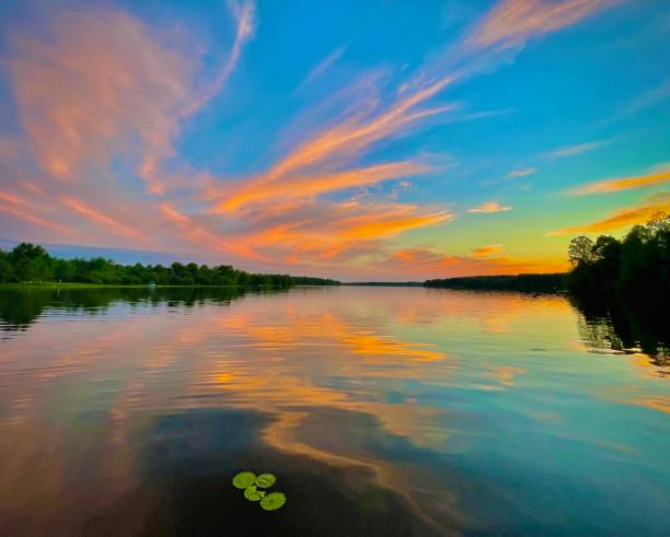 istock Burst of pink at sunset 1421118405