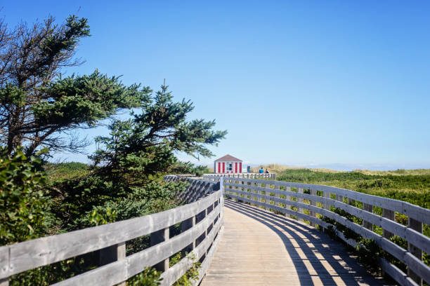 Greenwich, Canada - August 25, 2022. People walk along the boardwalk at Greenwich, Prince Edward Island National Park on a sunny summer day.