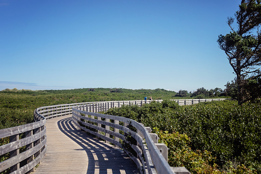 Greenwich, Canada - August 25, 2022. People walk along the boardwalk at Greenwich, Prince Edward Island National Park on a sunny summer day.
