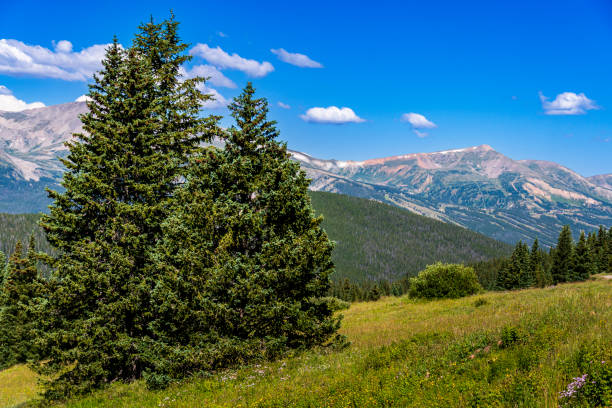 istock High on a Mountain Passin Colorado 1421120040