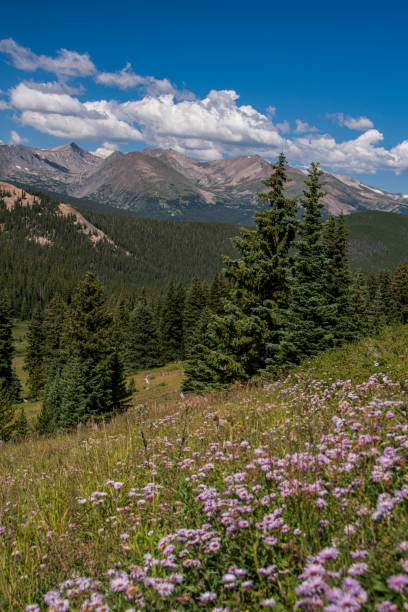 istock High on a Mountain Passin Colorado 1421120053