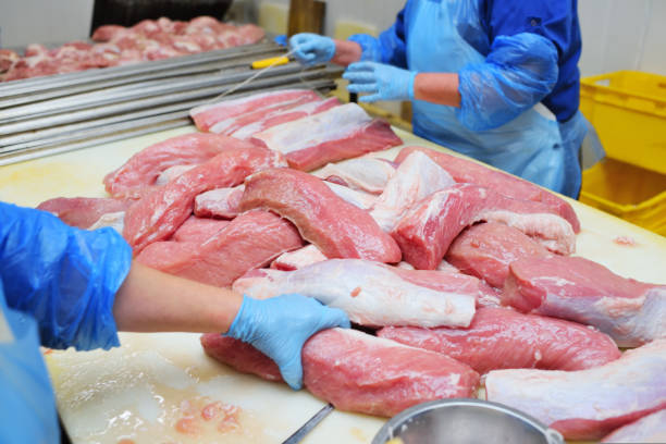 istock butchers prepare appetizing cuts of fresh pork meat for further processing 1421120238