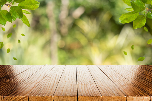 Empty wood table with blurred green background and foliage. Product display template