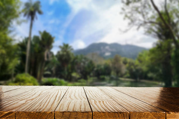 istock Empty wood table with blurred background with tropical nature landscape. Product display template. 1421120803