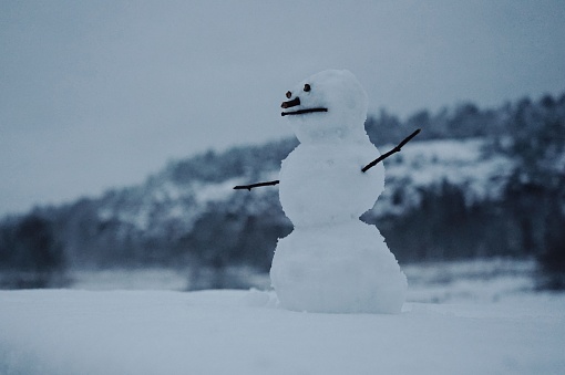 Low angle view of small snowman