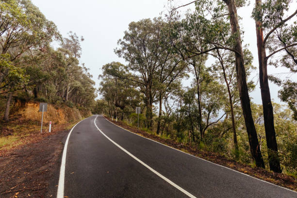 istock Woods Point Rd Drive in Victoria Australia 1421122259
