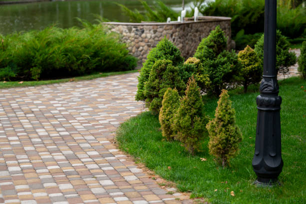 istock stone path in the park with small thujas in landscape design 1421125739
