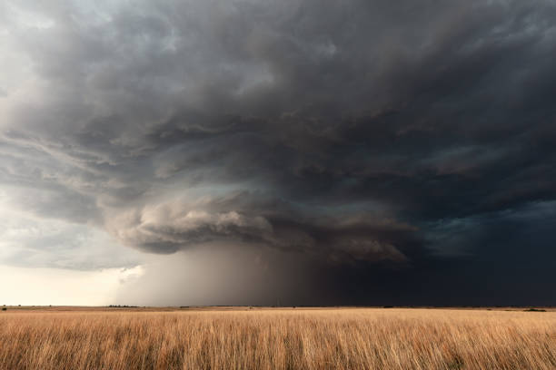 tempesta di supercelle su un campo di grano - storm wheat storm cloud rain foto e immagini stock