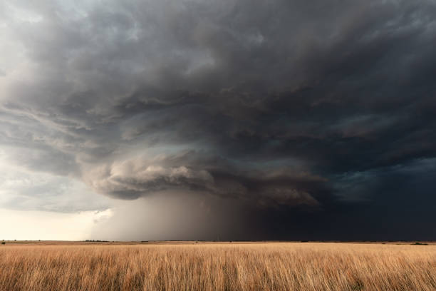 burza superkomórkowa nad polem pszenicy - storm wheat storm cloud rain zdjęcia i obrazy z banku zdjęć