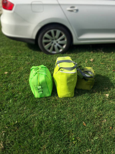 istock Luggages standing next to the car 1421131465