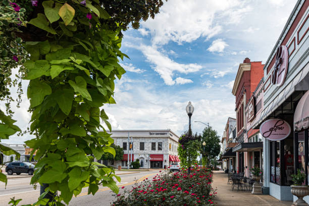 troy university small business development center w centrum troy - street name sign small town america street street light zdjęcia i obrazy z banku zdjęć