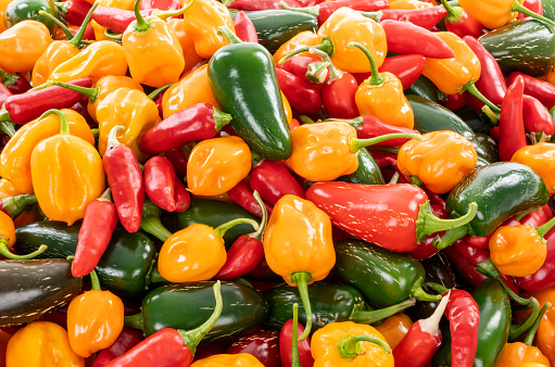 Closeup of Various Kinds of Colorful Spicy Peppers