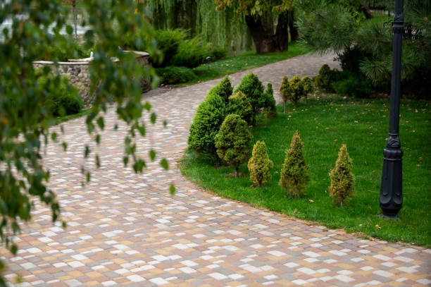 istock stone path in the park with small thujas in landscape design, bushes along the path in landscape design 1421131678