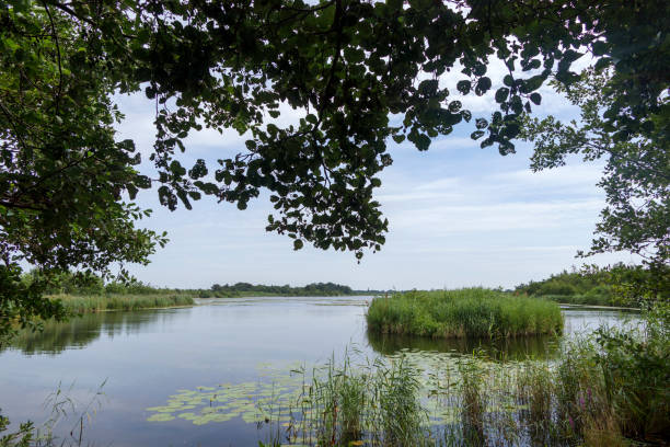 istock The Ankeveense Plassen in the Netherlands 1421133269