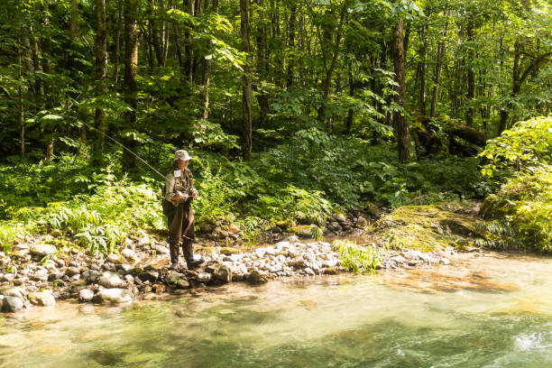 Senior man fly fishing in clean mountain river