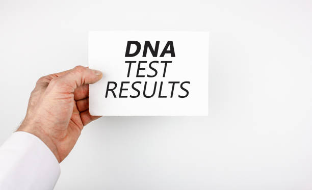 Doctor, the patient is holding a sheet with the words DNA TEST RESULTS. The concept of paternity test results, dna test. The doctor, the patient is holding a sheet with the words DNA TEST RESULTS. The concept of paternity test results, dna test. paternity stock pictures, royalty-free photos & images