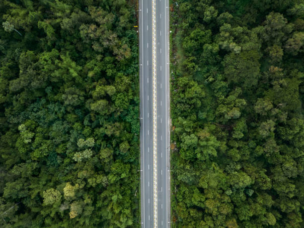 luftaufnahme von der drohne der geraden zweispurigen straße mit beiden seiten ist üppiger grüner wald. - empty nobody two lane highway highway stock-fotos und bilder