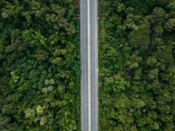 vista aerea dal drone della strada diritta a due corsie con entrambi i lati è un bosco verde lussureggiante. - straight foto e immagini stock
