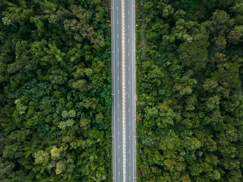 Aerial view from drone of straight two lane road with both sides is lush green woodland.