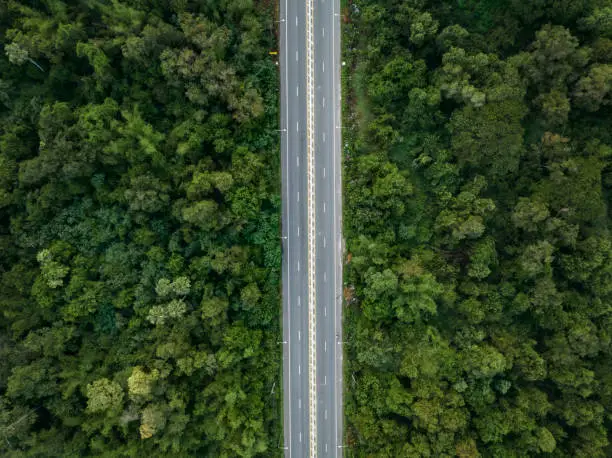 Photo of Aerial view from drone of straight two lane road with both sides is lush green woodland.