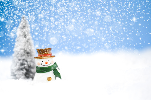 Happy Snowman in the snow