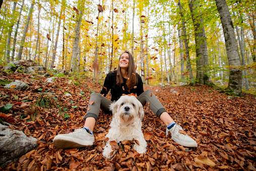 Playful Girl enjoying fall season with her pet dog in the forest throwing dry leaves in the air