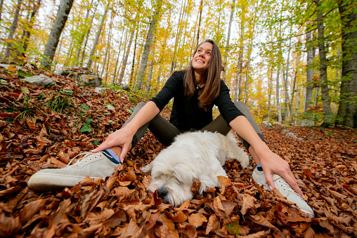 Girl enjoying fall season with her pet dog in the forest