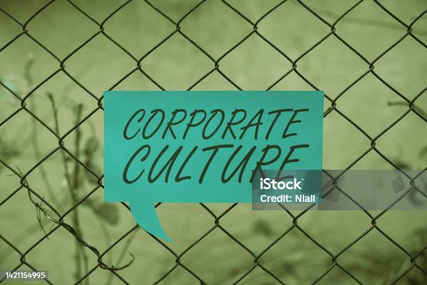Conceptual Display Corporate Culturebeliefs And Ideas That A Company Has Shared Values Business Concept Beliefs And Ideas That A Company Has Shared Values Stock Photo - Download Image Now