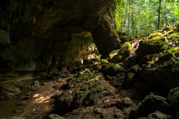 istock Beautiful natural landscape 1421155479