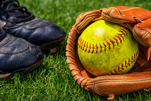 Baseball in a mitt with a black bat low angle selective focus view on a baseball field