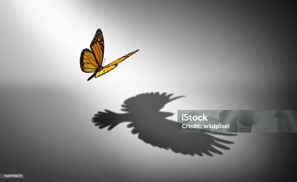 Aspiration For Change Aspiration for change and ambition for improvement and success as a metaphor for growth and transformation as a butterfly casting a shadow of a flying bird with 3D illustration elements. Change Stock Photo