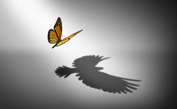 Aspiration For Change Aspiration for change and ambition for improvement and success as a metaphor for growth and transformation as a butterfly casting a shadow of a flying bird with 3D illustration elements. fresh start stock pictures, royalty-free photos & images