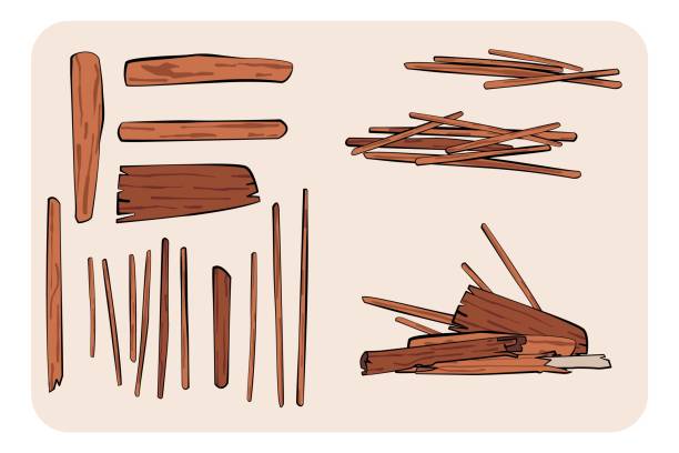 bildbanksillustrationer, clip art samt tecknat material och ikoner med hand drawn tree log and wood stick bundle. isolated vector cartoon illustration. flat design with outline. - pinne