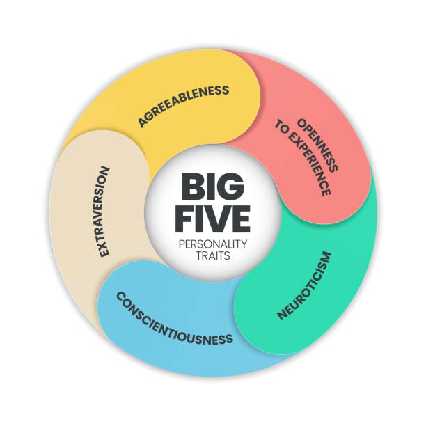 Big Five Personality Traits infographic has 4 types of personality such as Agreeableness, Openness to Experience, Neuroticism, Conscientiousness and Extraversion. Visual slide presentation vector. Big Five Personality Traits infographic has 4 types of personality such as Agreeableness, Openness to Experience, Neuroticism, Conscientiousness and Extraversion. Visual slide presentation vector. personality test stock illustrations