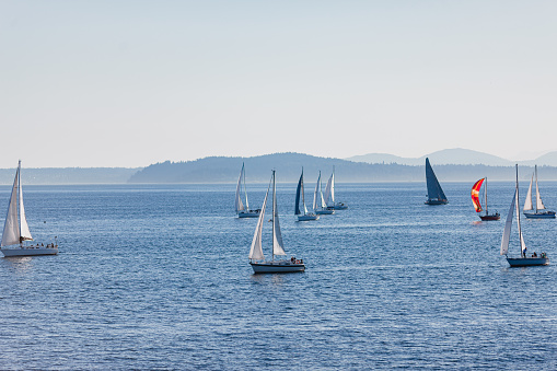 Sailboats on the water in Elliot Bay in Seattle Washington.