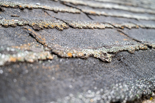Weathered and damaged shingles with a shallow depth of field.