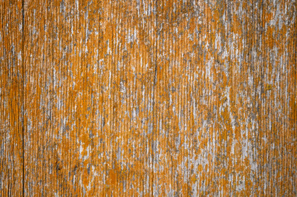 Wood Texture