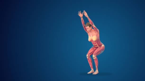 istock 3D human utkatasana chair yoga pose on blue background 1421194131