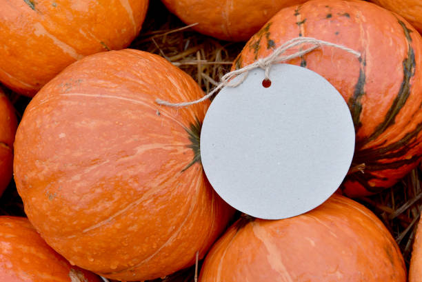 istock Fall harvest cornucopia. Pumpkin fruit in Autumn season for halloween and thanksgiving. 1421195441